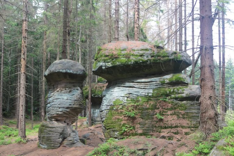 474593526_122173369022266532_1725077233549951268_n